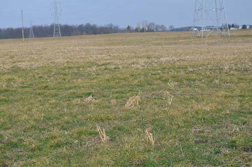 Property photo 25 - 98+/- Acres Offered in 6 Tracts or Combinations, Noble County, Indiana Farm